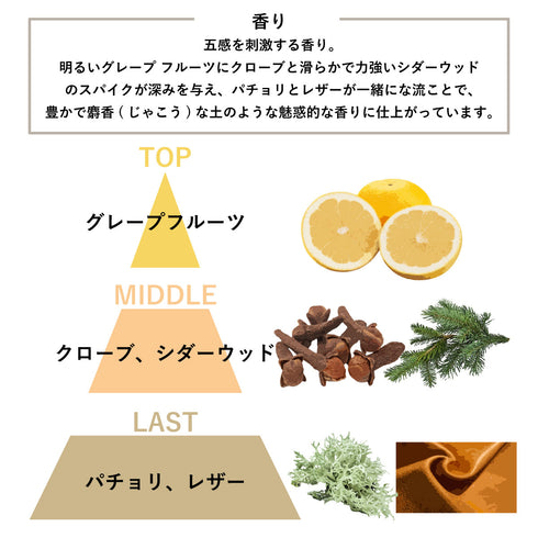 AATHER A Meeting Of Minds - Leather & Black Cedar