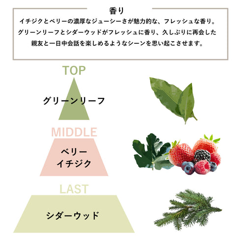 AATHER The Wanderer Returns - Black Fig & Berries