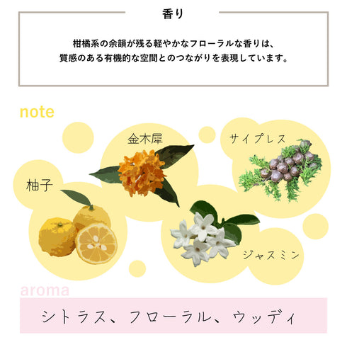 FRAMA Komorebi Eau de Parfum 50 ml