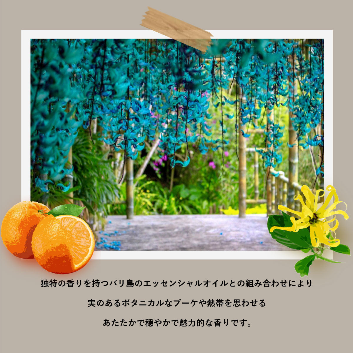 FRAMA Beratan Scented Candle 170g – KORC公式オンラインストア