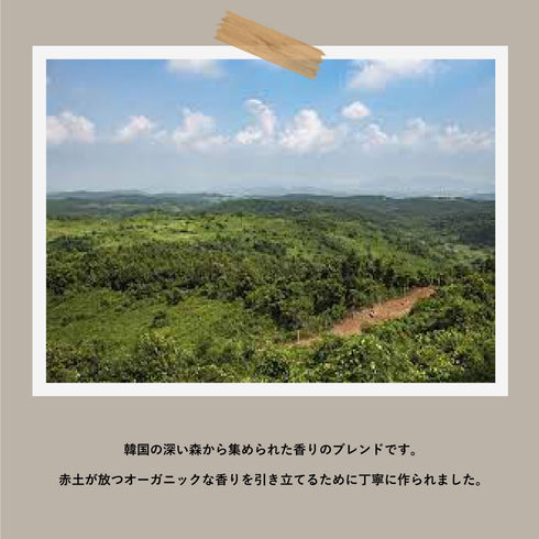 FRAMA Deep Forest Scented Candle60g