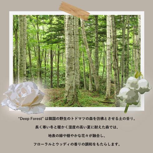 FRAMA Deep Forest Scented Candle60g