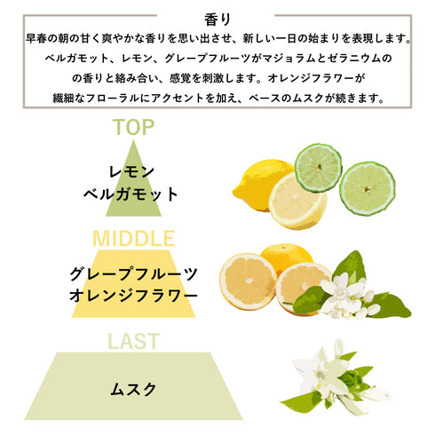AATHER As The Sun Rises - Grapefruit & Sweet Citrus