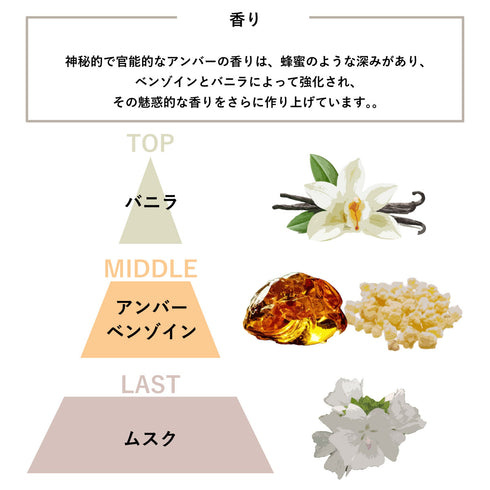 AATHER Midnight Dance - Dark Amber & Musk