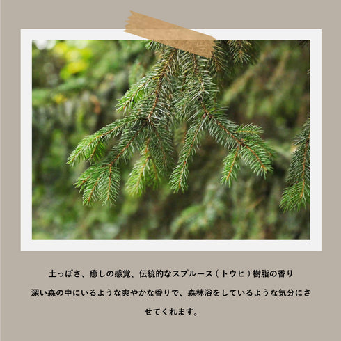 HETKINEN Veggie candle Spruce resin 260ml